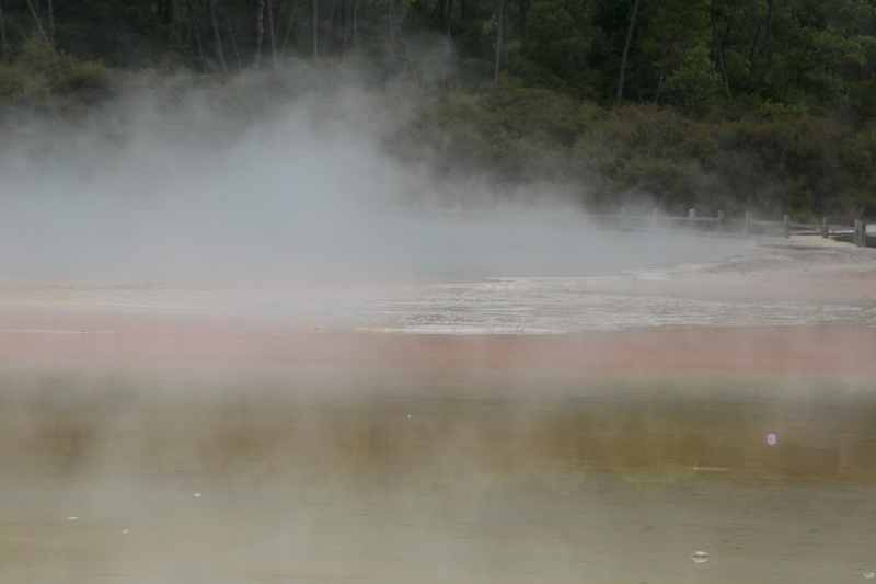 Nieuw-Zeeland 2011 - 0758